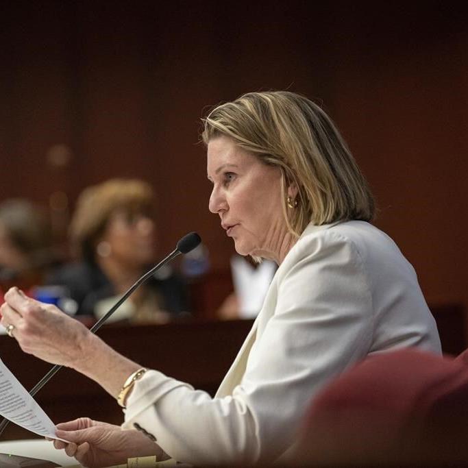 Georgia House speaker aims to persuade resistant Republicans in voucher push